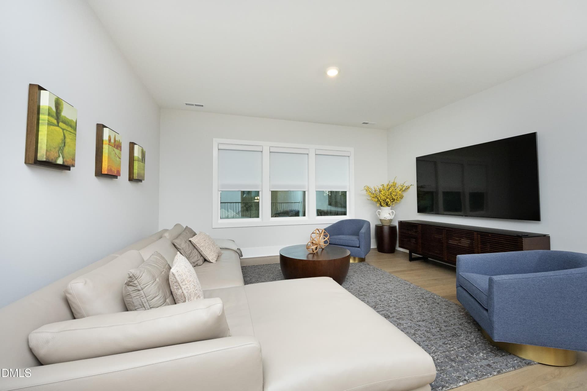 29MediaRoom - 816 Timber Mist Court, Cary, NC 27519