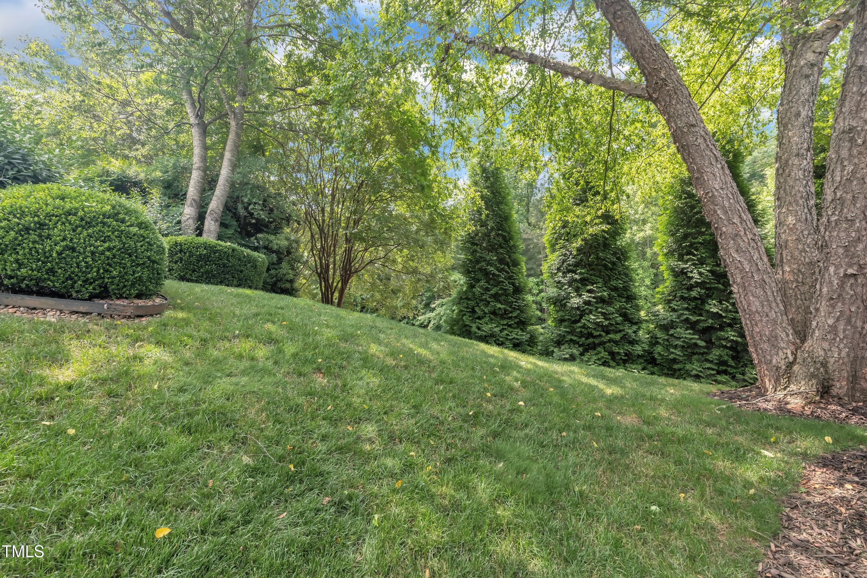 Back yard - 4802 Glenmist Court, Raleigh, NC 27612, Raleigh