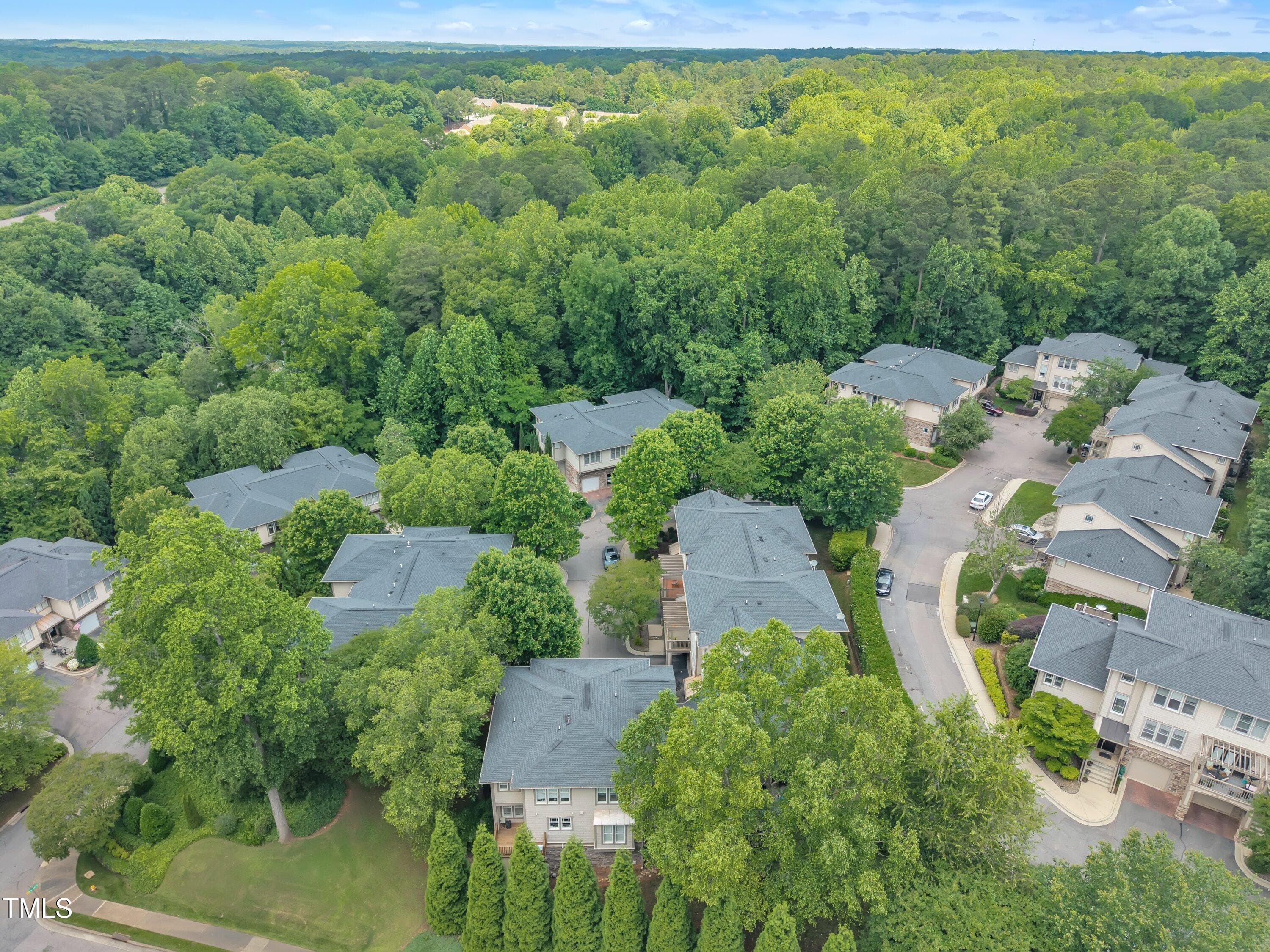 Drone View of Back - 4802 Glenmist Court, Raleigh, NC 27612, Raleigh