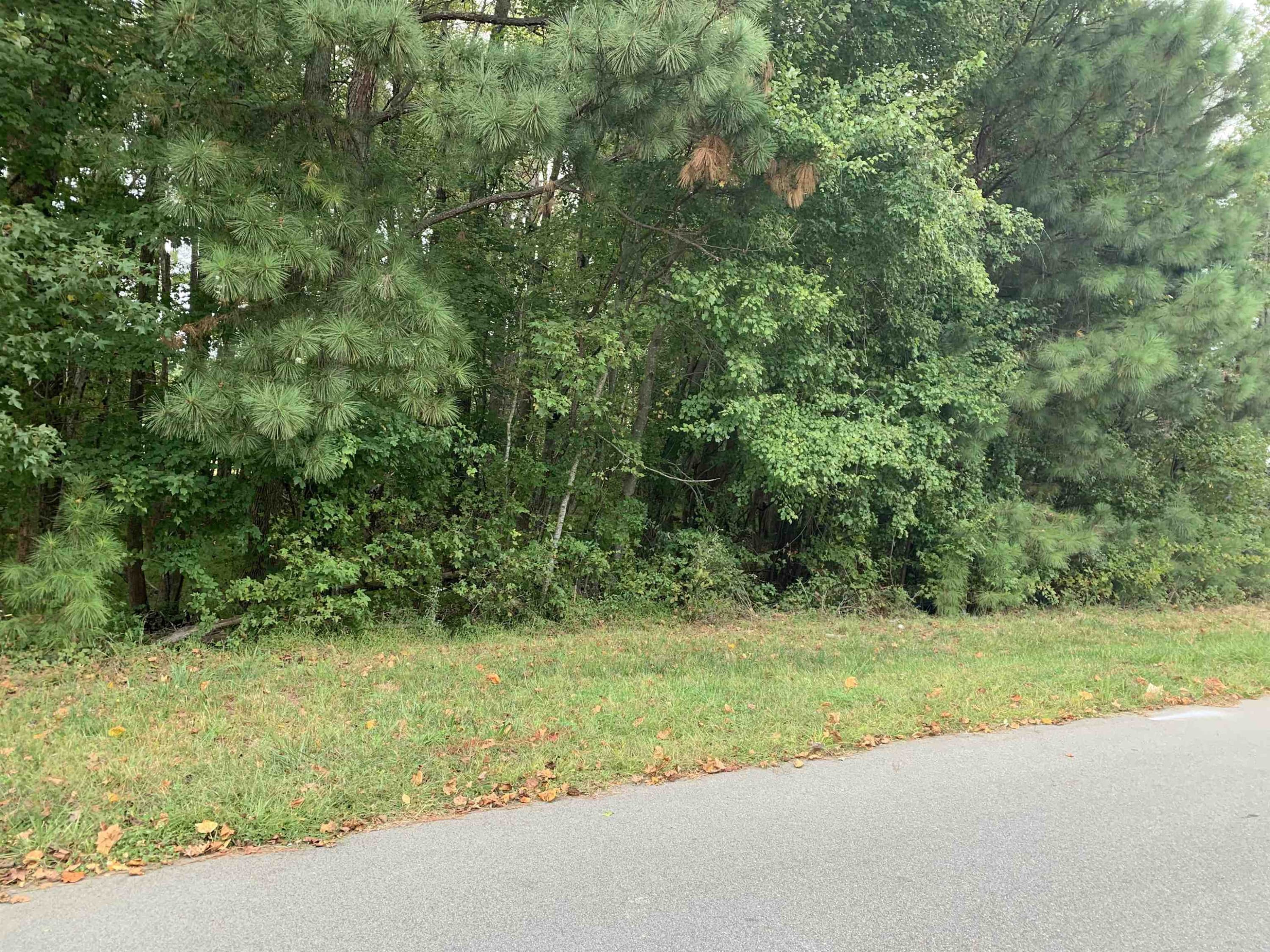 Photo 3 - 4553 Ashley View Lane, Oxford, NC 27565
