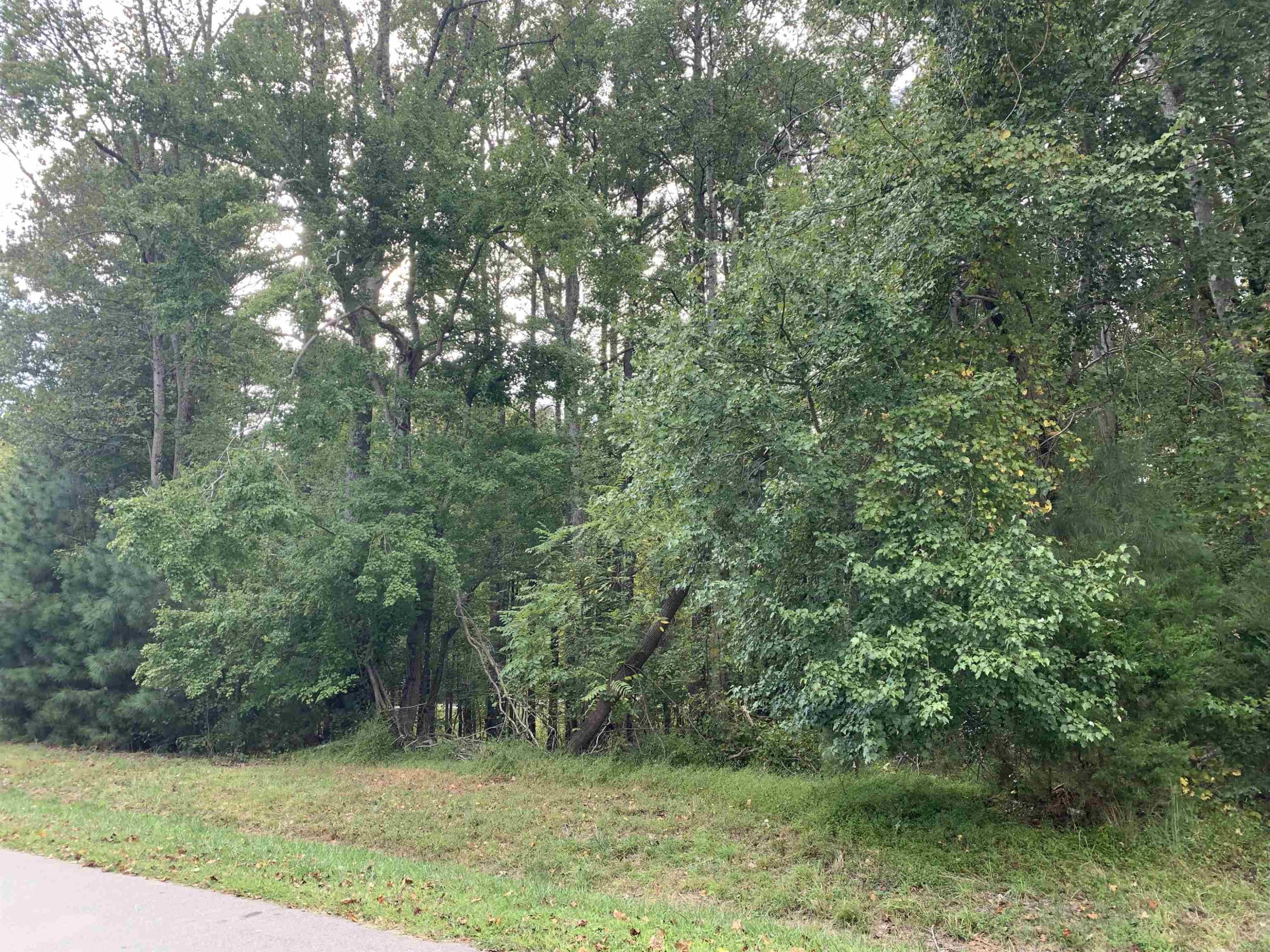 Photo 2 - 4551 Ashley View Lane, Oxford, NC 27565