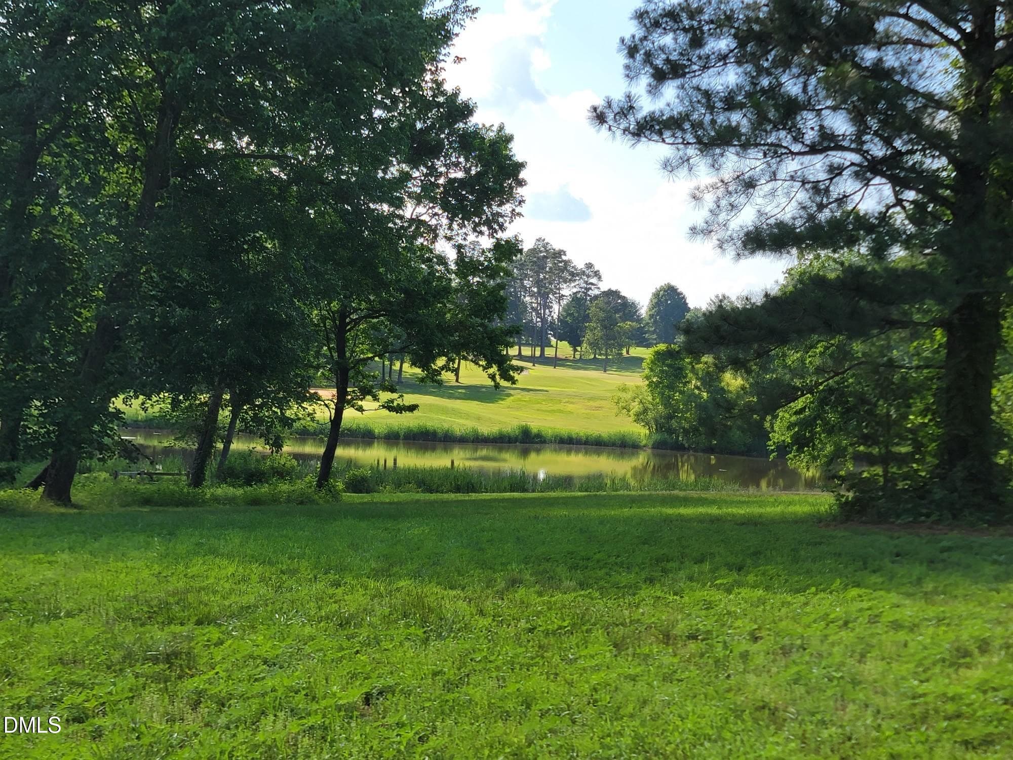 54 Caswell Pines Clubhouse Drive, Blanch, NC 27212