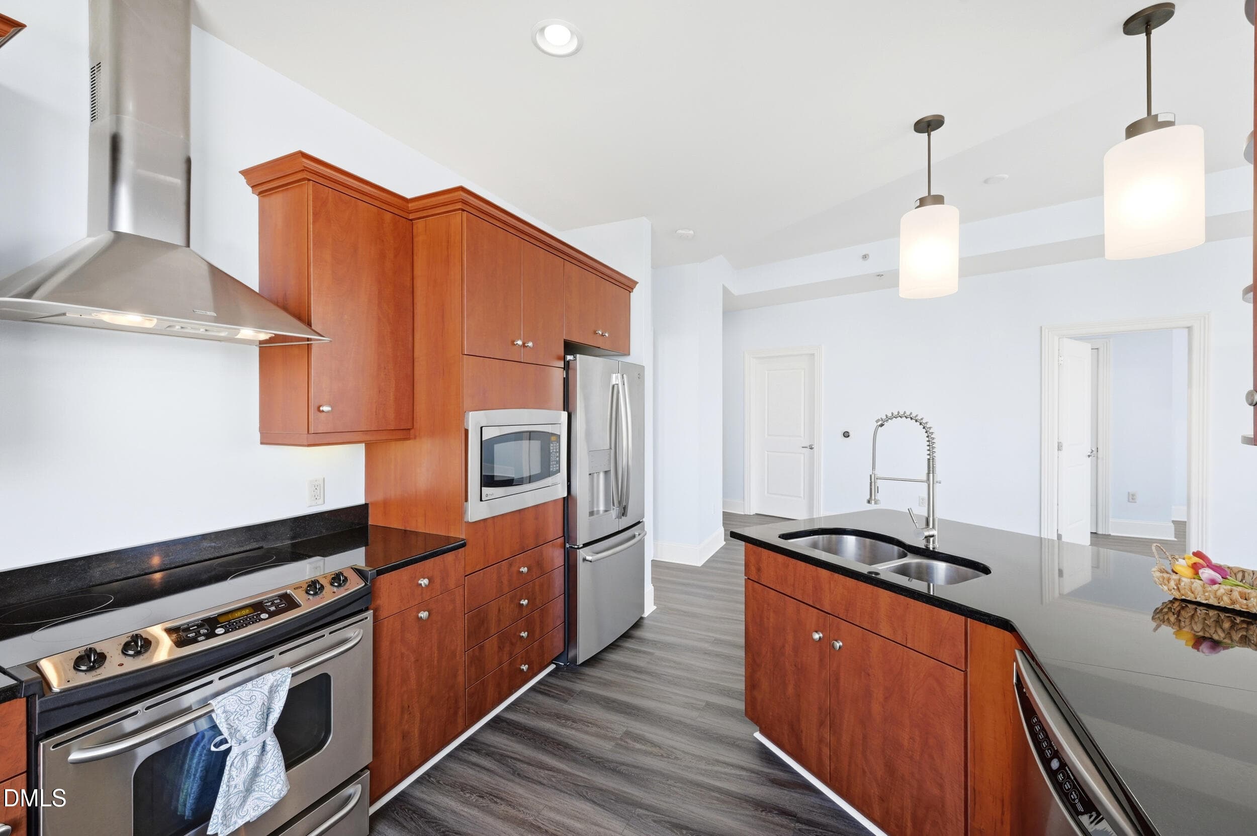 Electric Range with hood - 400 W North Street 810, Raleigh, NC 27603, Raleigh