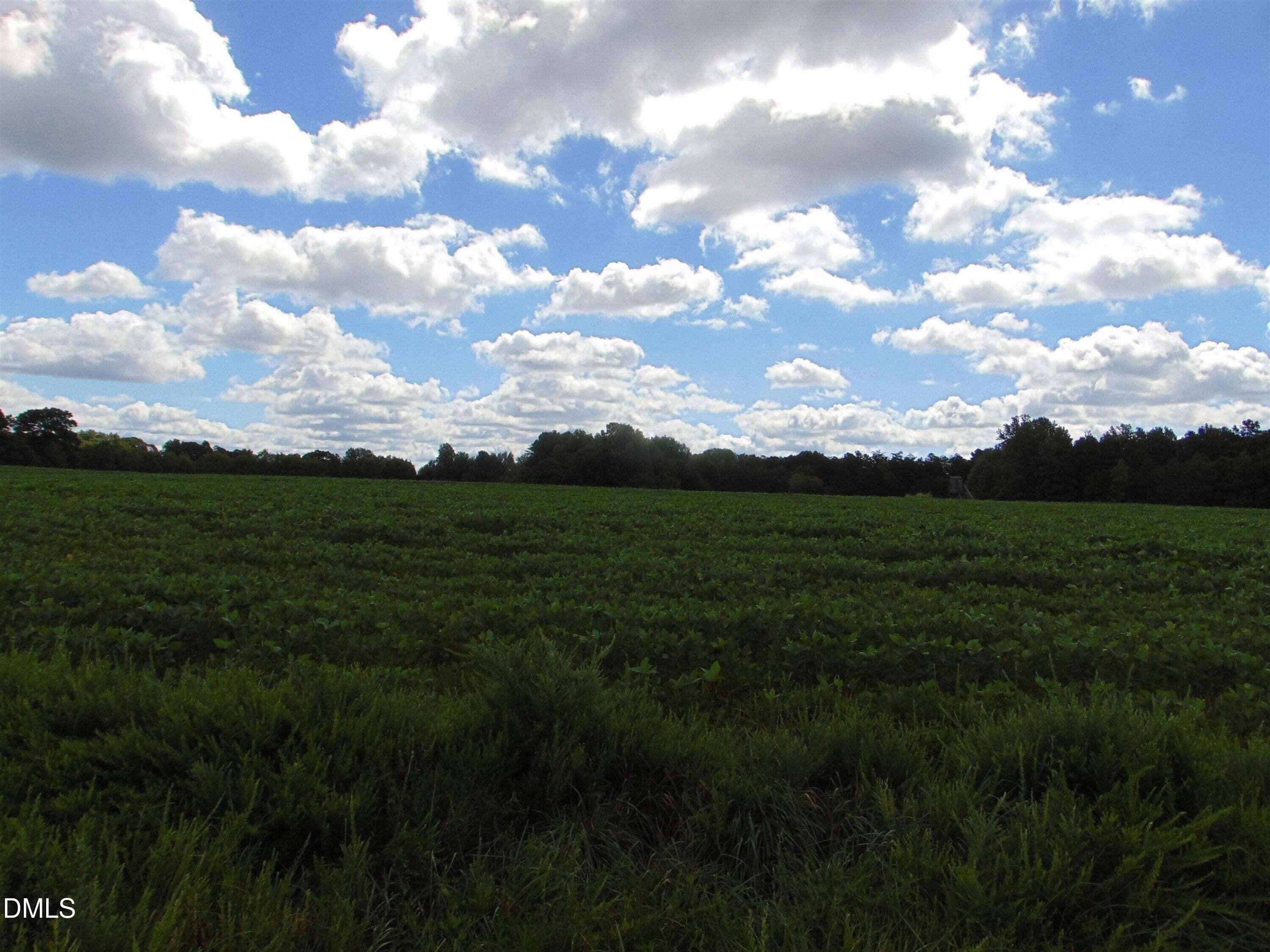 8 - Lot 2 Caviness Jordan Road, Cedar Grove, NC 27231