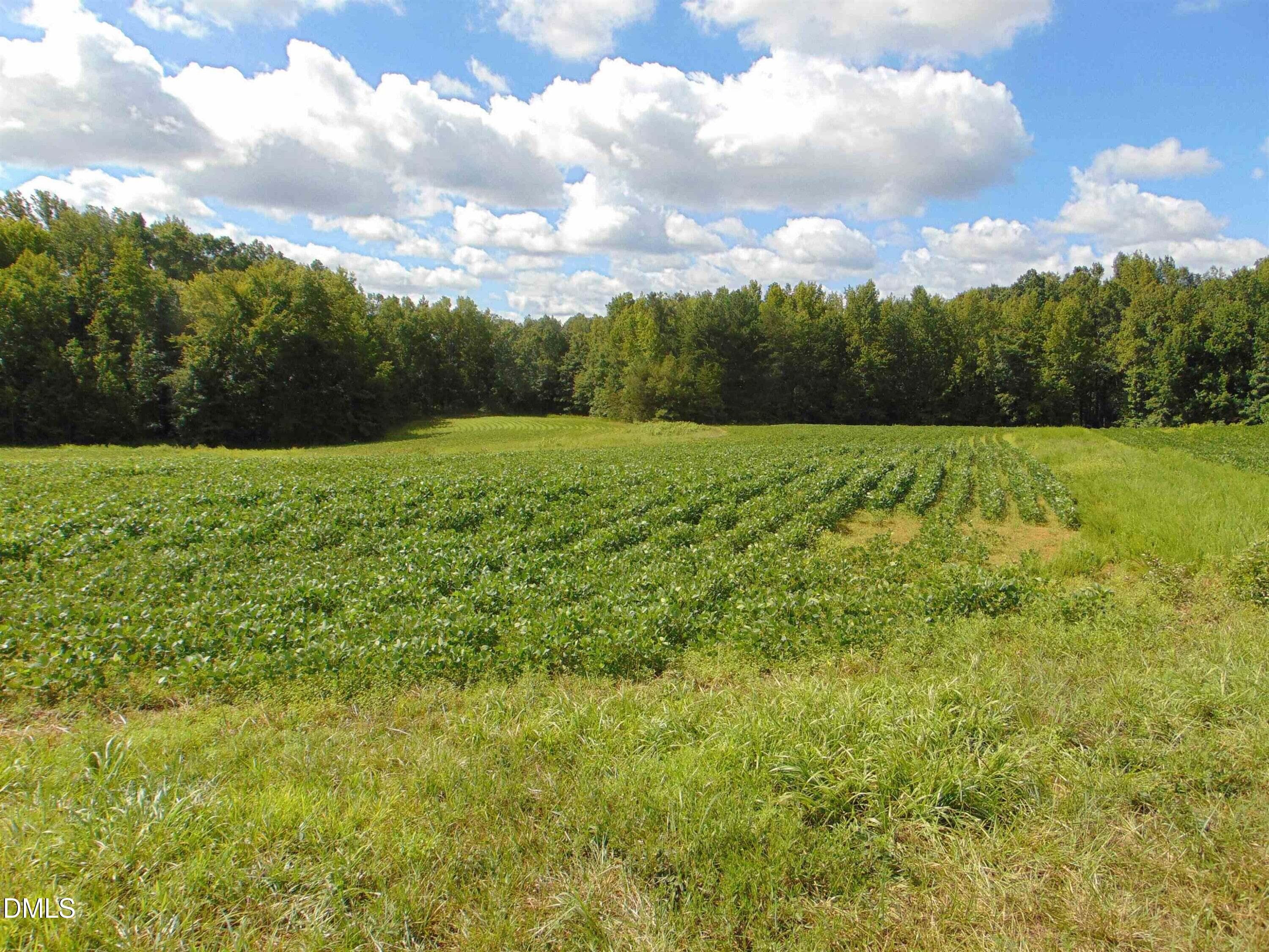 11 - Lot 2 Caviness Jordan Road, Cedar Grove, NC 27231
