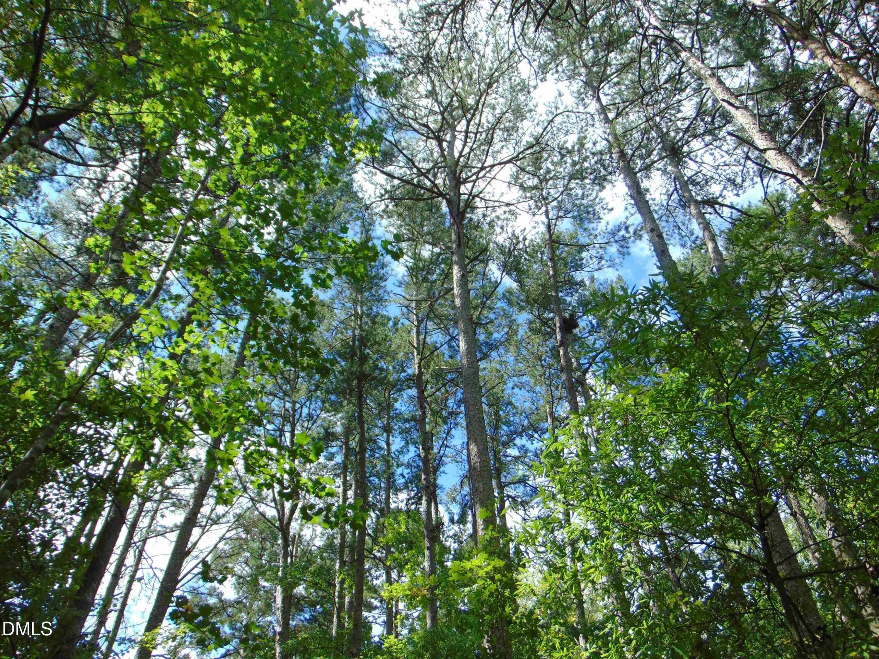 12 - Lot 2 Caviness Jordan Road, Cedar Grove, NC 27231