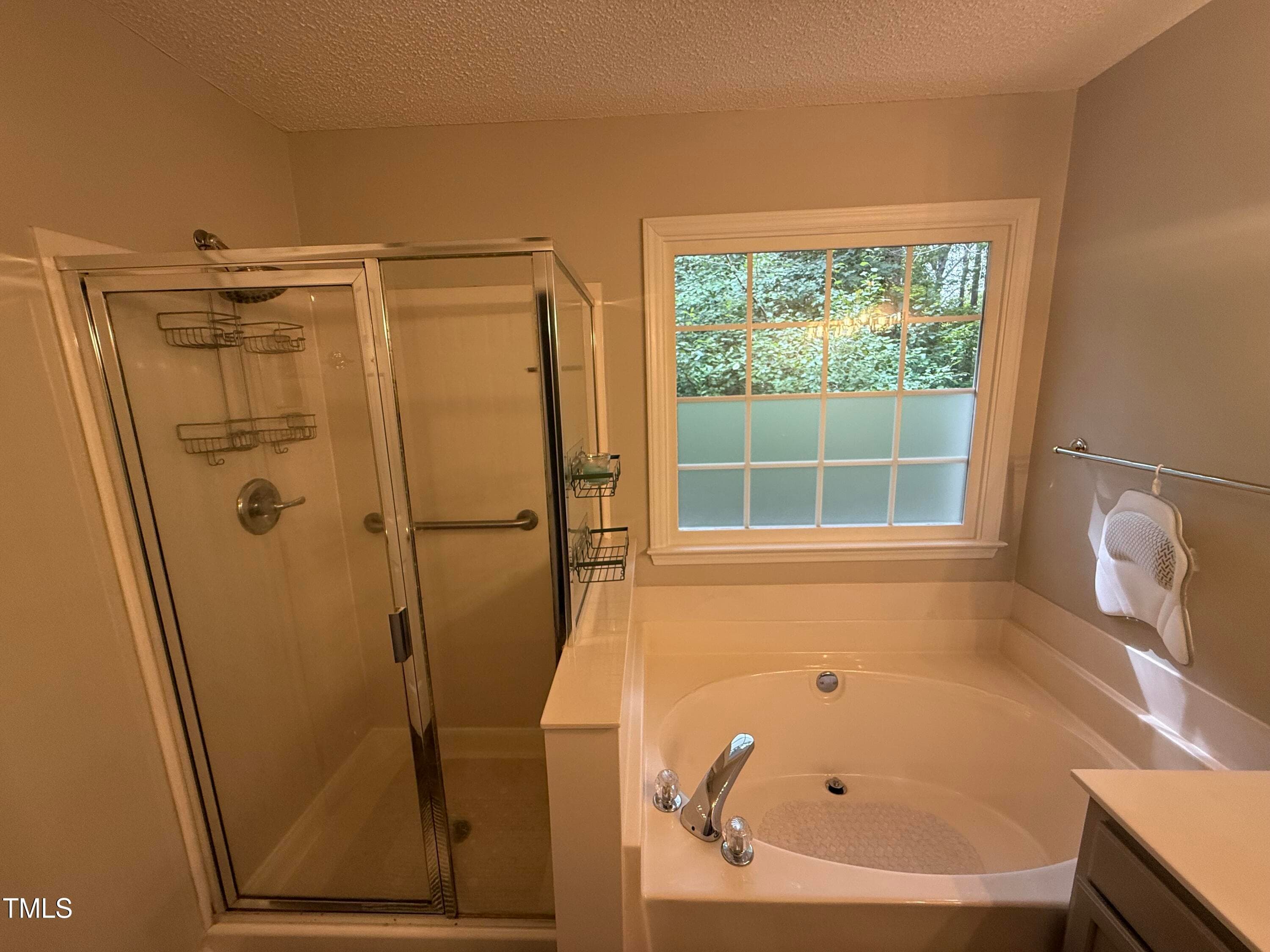 IMG_1692 - 3348 Daingerfield Drive, Raleigh, NC 27616, Raleigh