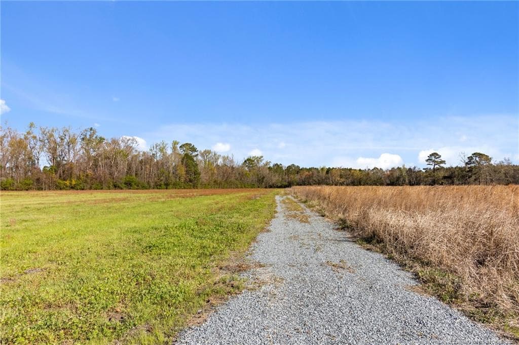 Photo 4 - Rowan Road, Lumberton, NC 28358