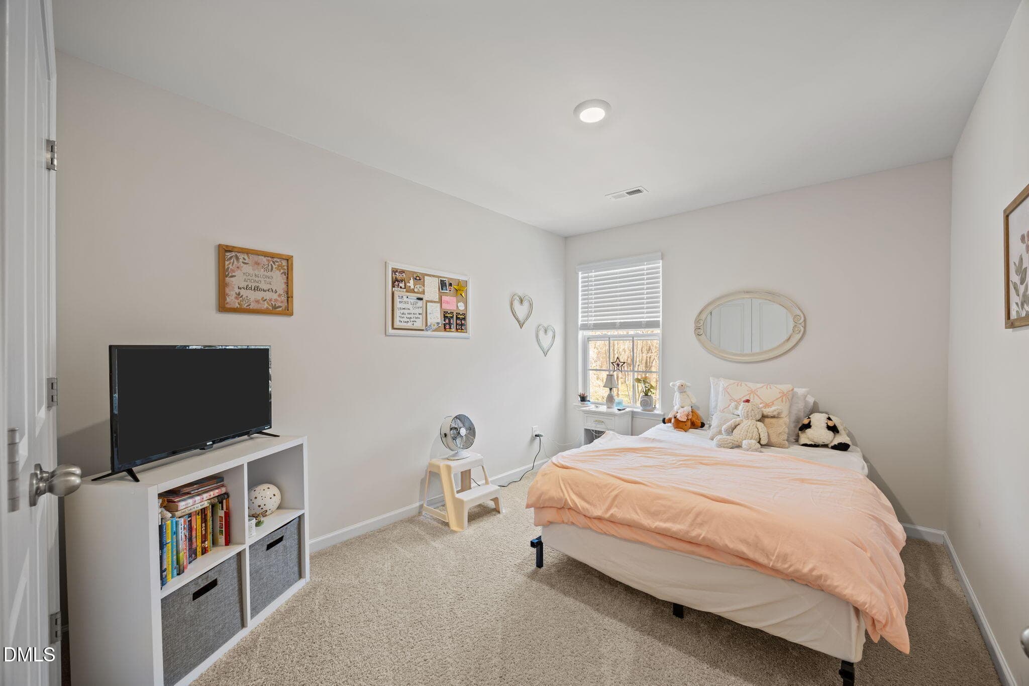 30-web-or-mls-IMG_2495 - 2317 Lily Drive, Haw River, NC 27258