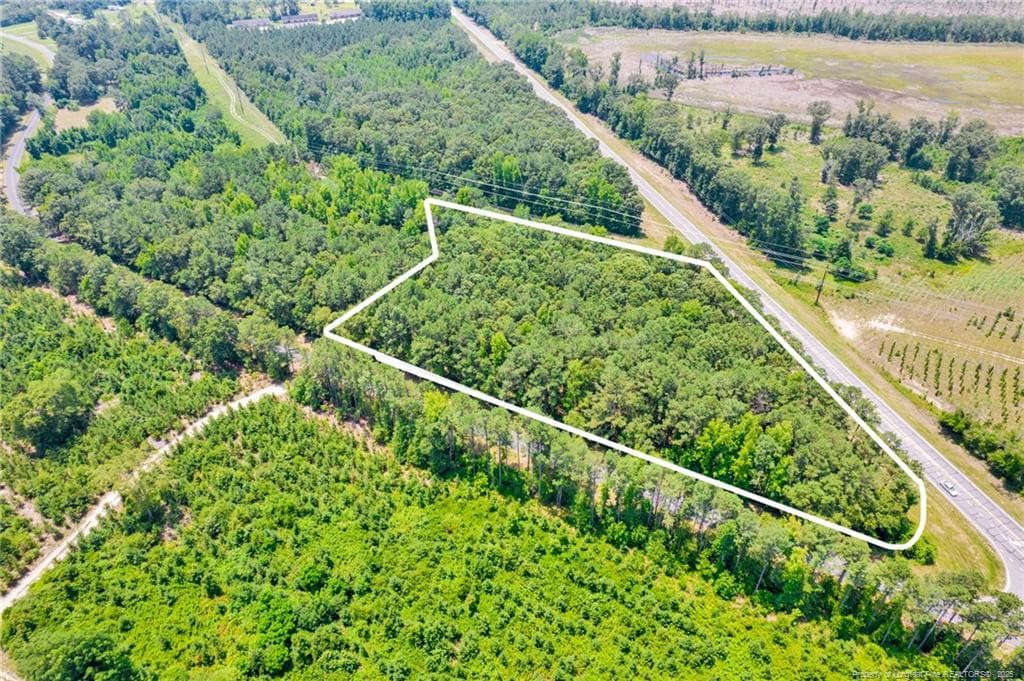 Photo 5 - Seals Road, Laurinburg, NC 28352, Laurinburg