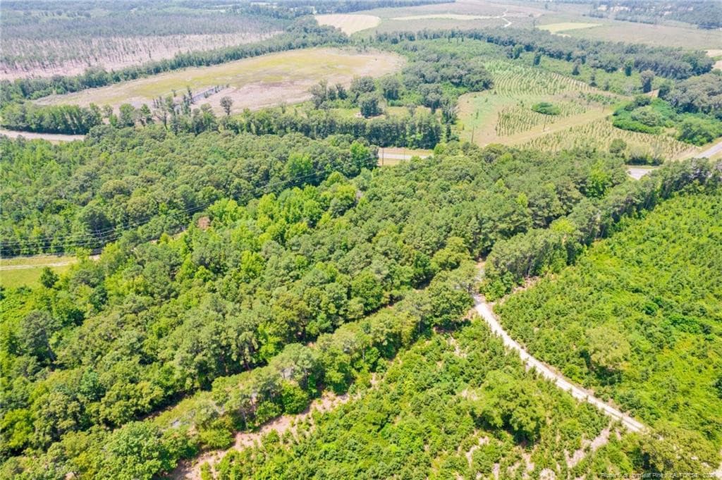 Photo 6 - Seals Road, Laurinburg, NC 28352, Laurinburg