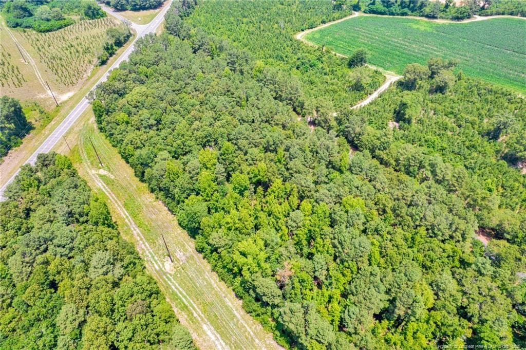 Photo 17 - Seals Road, Laurinburg, NC 28352, Laurinburg