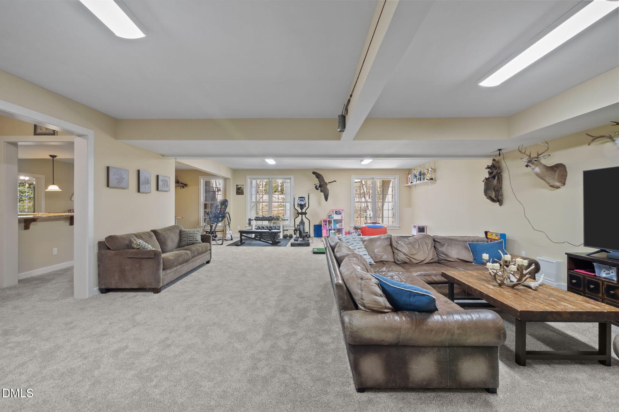 39-web-or-mls-P1111755 - 490 Bear Tree Creek, Chapel Hill, NC 27517, Chapel Hill