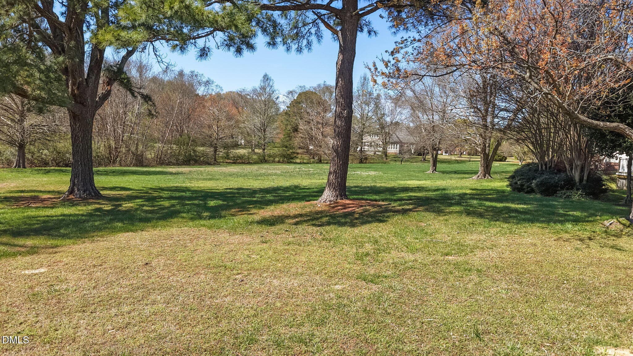Backyard - 10624 Staghound Trail, Zebulon, NC 27597