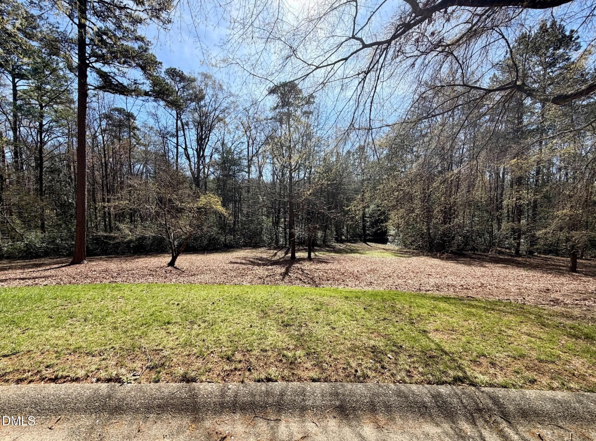 Front View of Lot - 223 Millingport Lane, New London, NC 28127