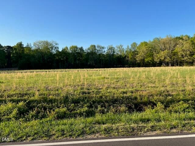 Pic 1 - 0 Lancaster Store Road, Spring Hope, NC 27882
