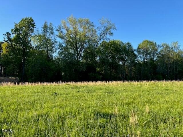 Pic 3 - 0 Lancaster Store Road, Spring Hope, NC 27882