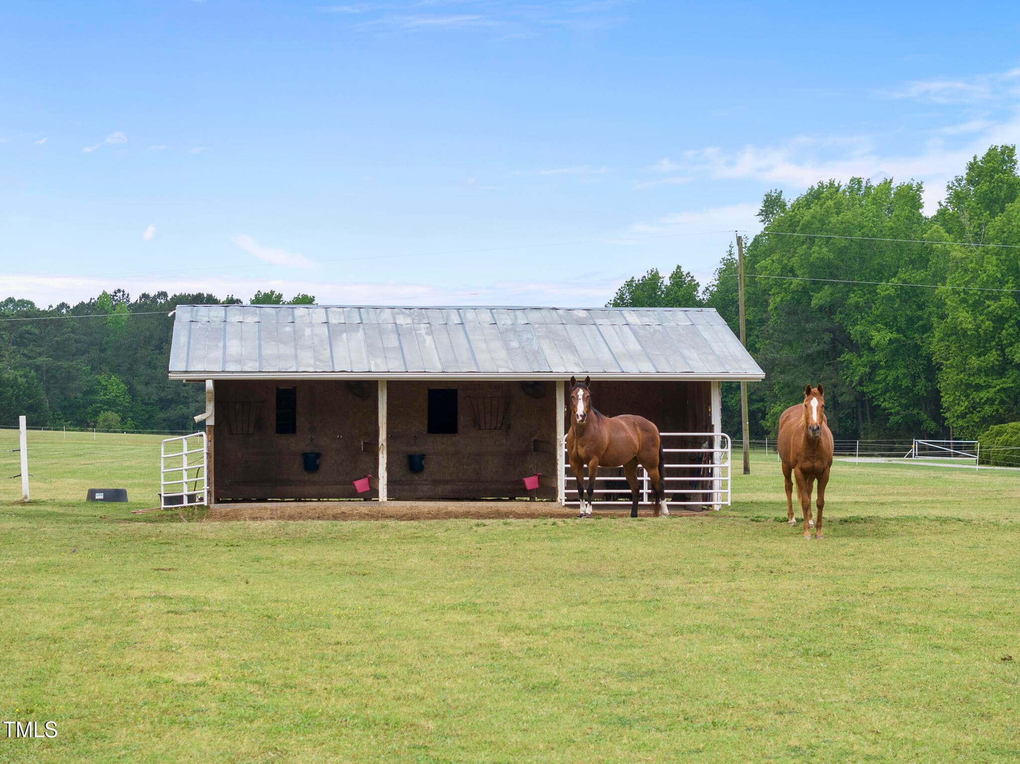 DJI_20240506101622_0053_D - 8042 N Nc Hwy 58, Castalia, NC 27816