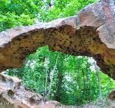 Ravens Rock 2 - 160 Galway Road, Lillington, NC 27546
