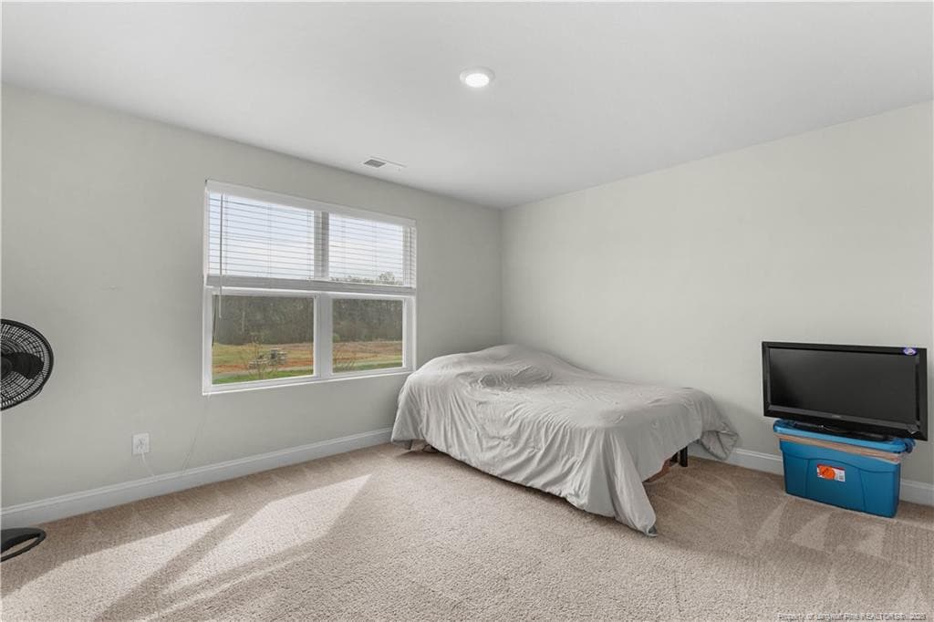 Photo 24 - 310 McClellan Trail, Mebane, NC 27302, Mebane