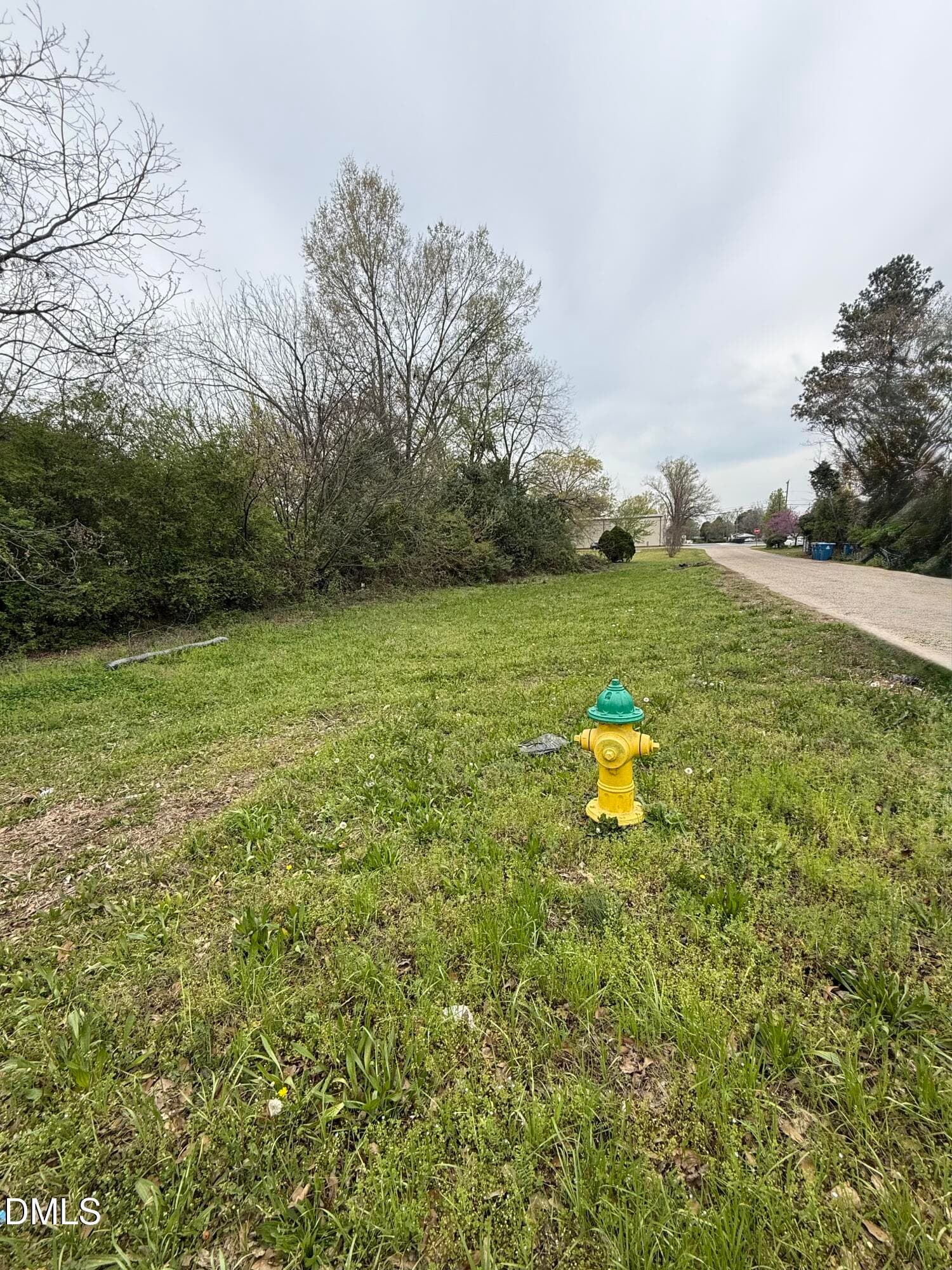 IMG_6042 - 713 N Magnolia Avenue, Dunn, NC 28334, Dunn