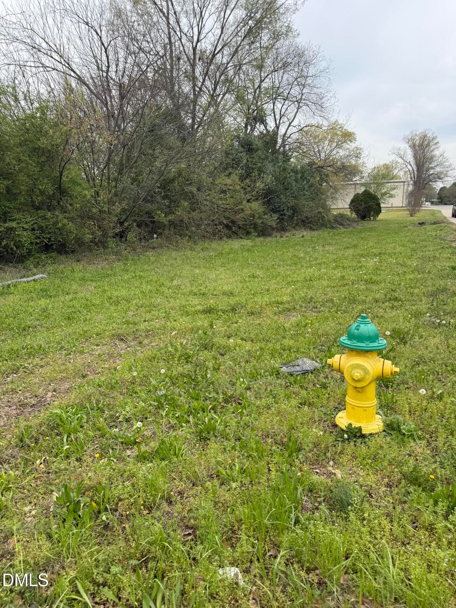 IMG_6044 - 713 N Magnolia Avenue, Dunn, NC 28334, Dunn