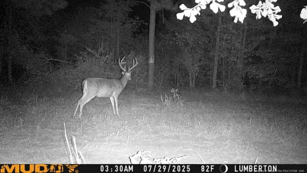 Photo 2 - Allen Street, Lumberton, NC 28359