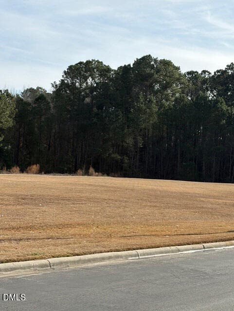 4 - 660 E Jackson Boulevard, Erwin, NC 28339