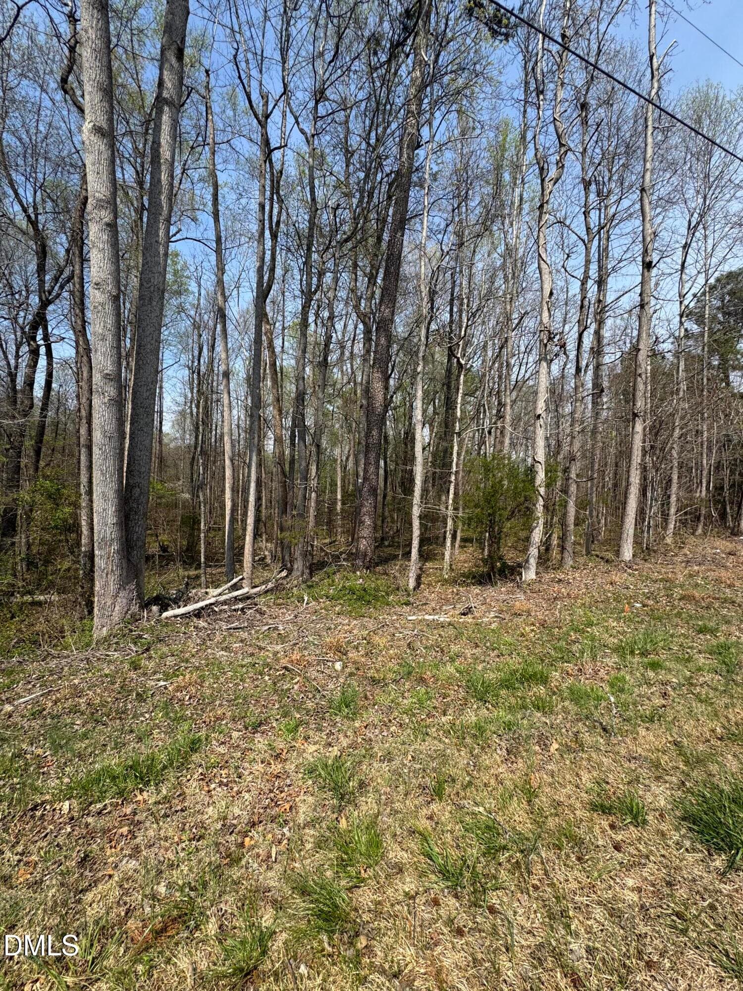 0 Hurdle Mills Road, Roxboro, NC 27574