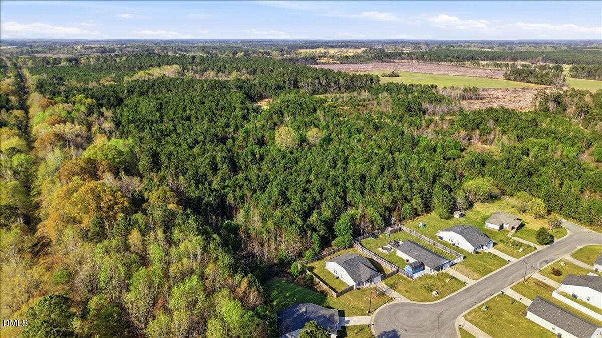 6-Lizzie Mill Rd-5 - 0 Bayleaf Road, Selma, NC 27576