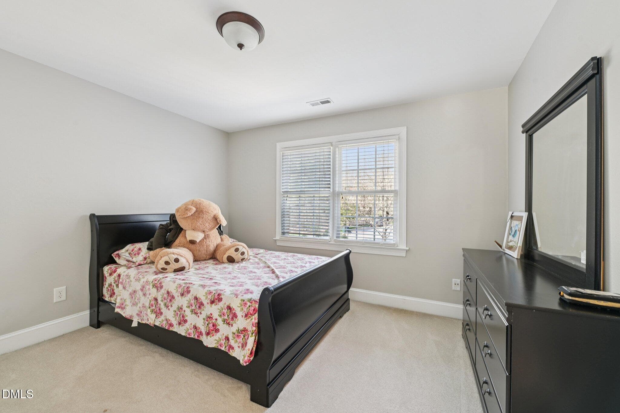 35-web-or-mls-Coneflower Ct-S2703-035 - 47 Coneflower, Chapel Hill, NC 27517, Chapel Hill