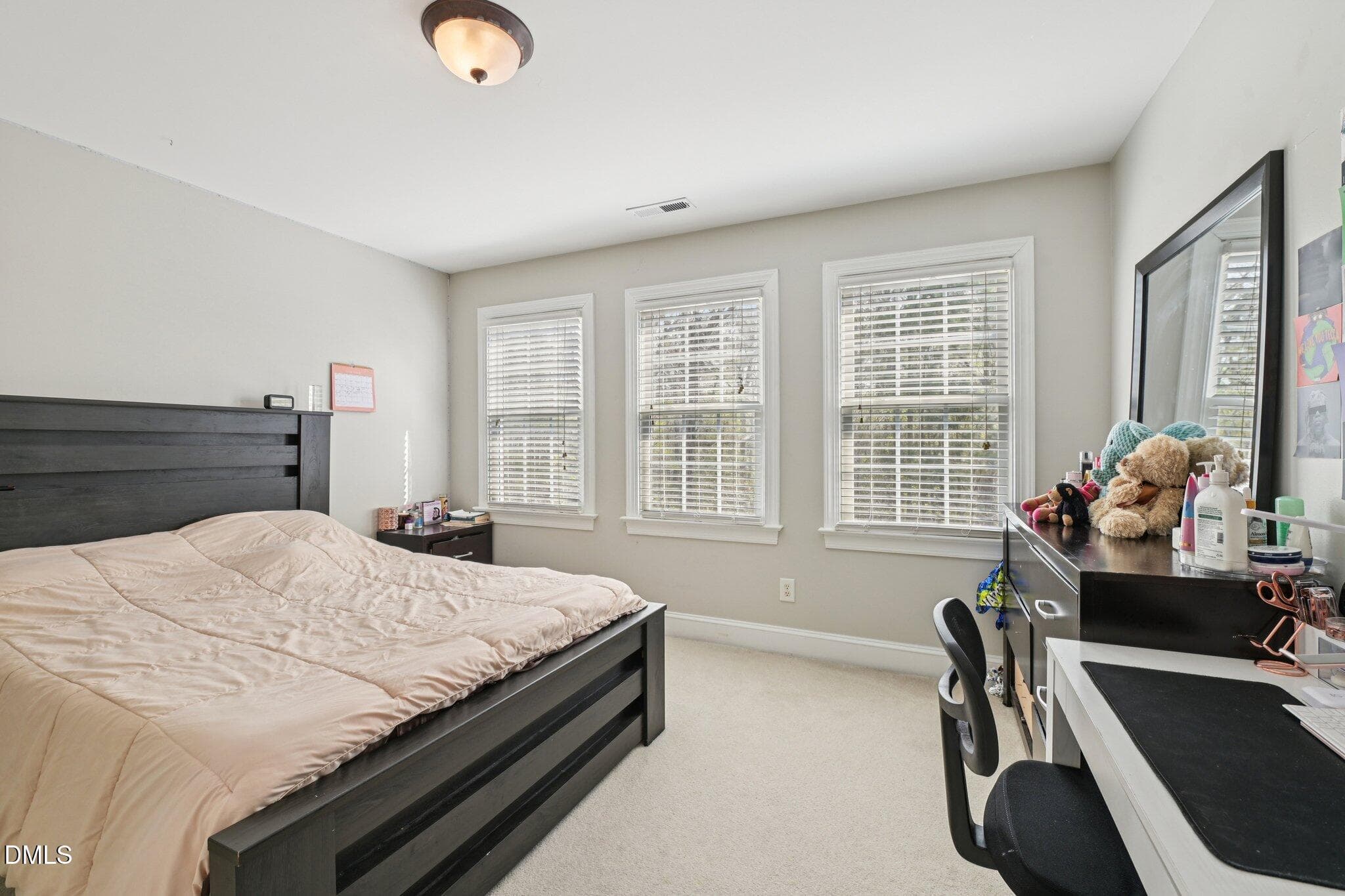 39-web-or-mls-Coneflower Ct-S2703-039 - 47 Coneflower, Chapel Hill, NC 27517, Chapel Hill