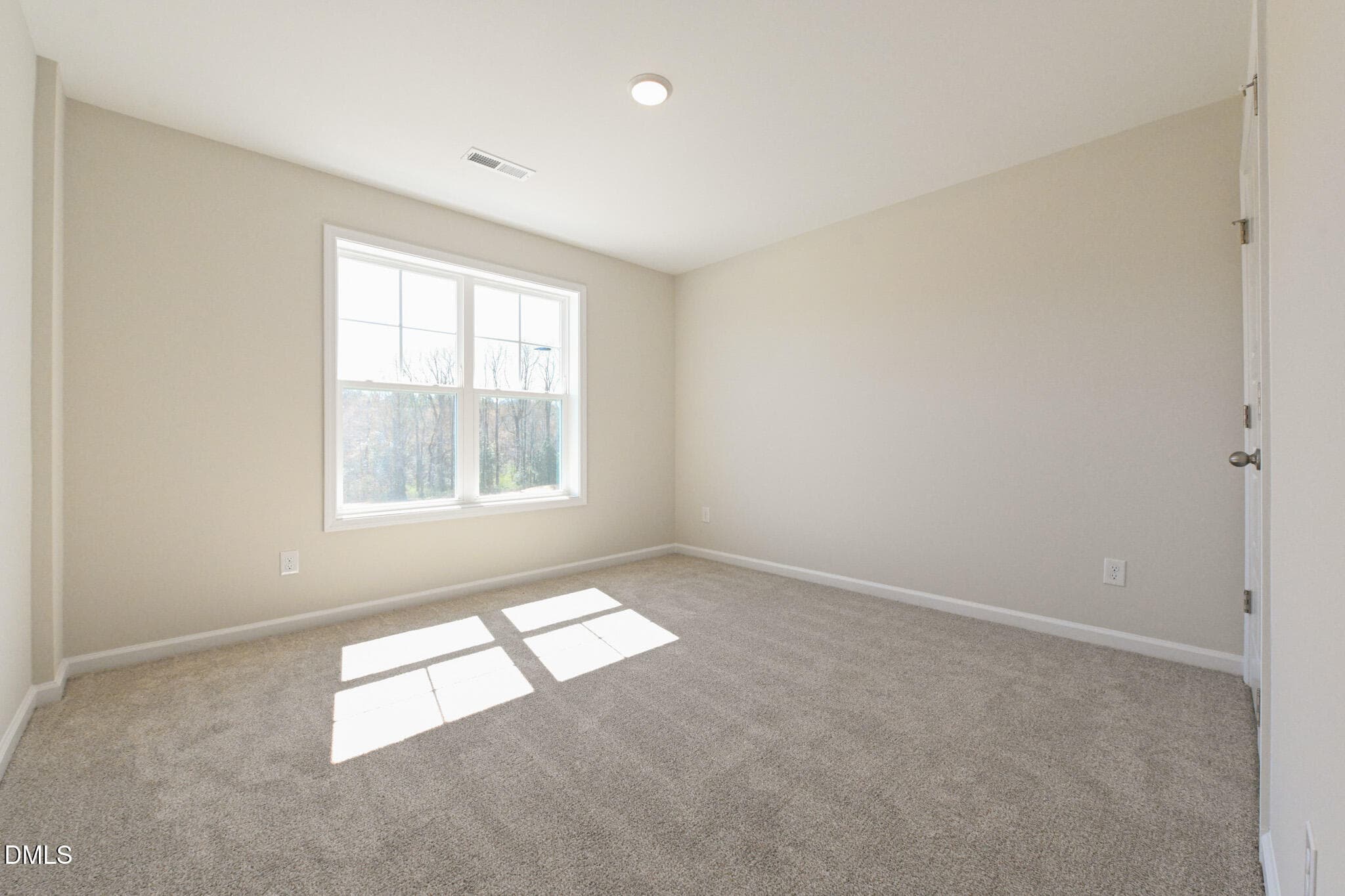 024 - 293 Black Duck Lane (lot 96), Lillington, NC 27546