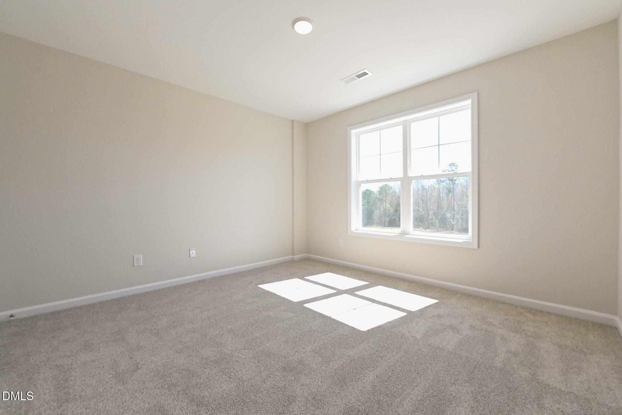 025 - 293 Black Duck Lane (lot 96), Lillington, NC 27546