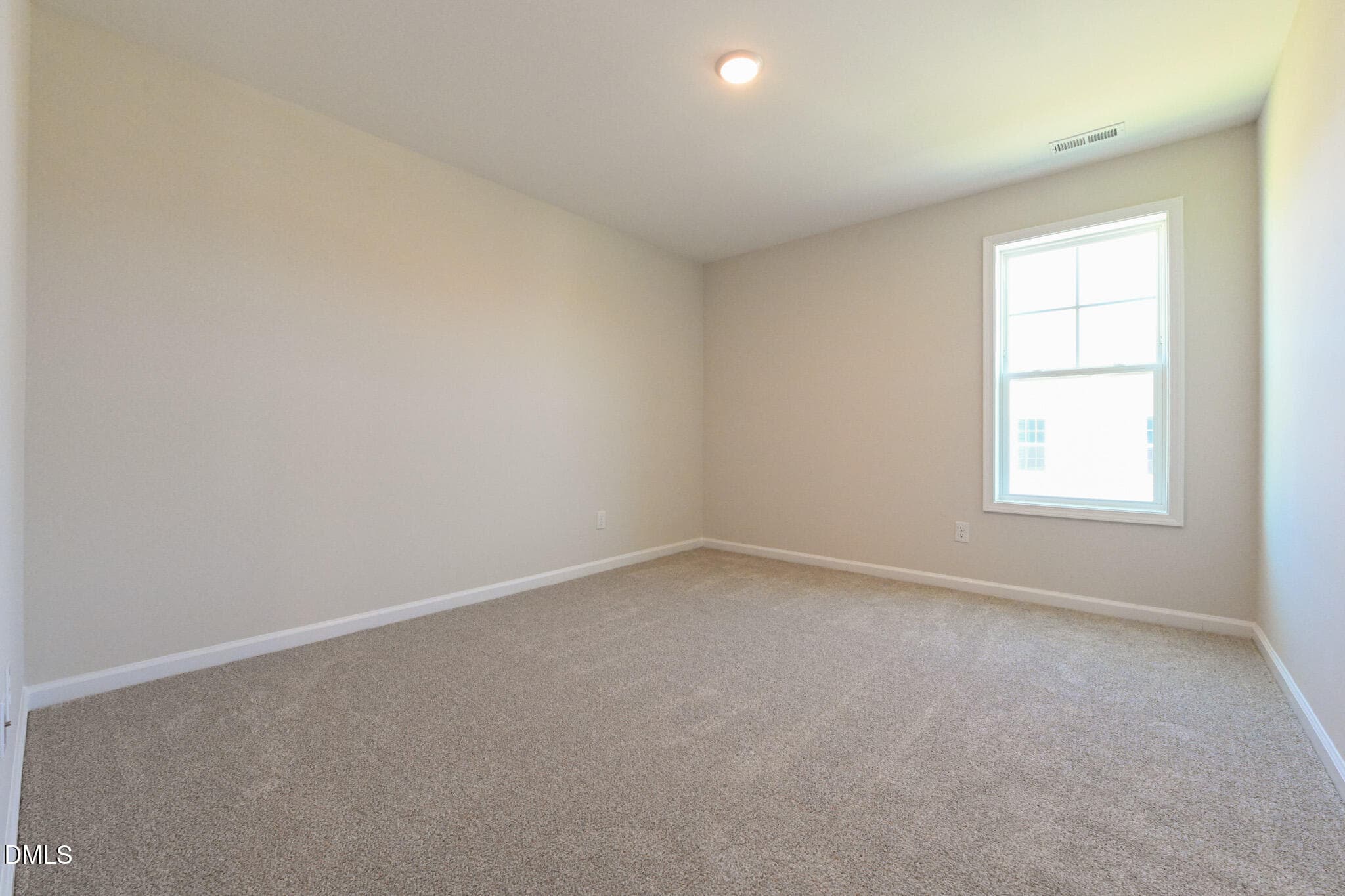 028 - 293 Black Duck Lane (lot 96), Lillington, NC 27546