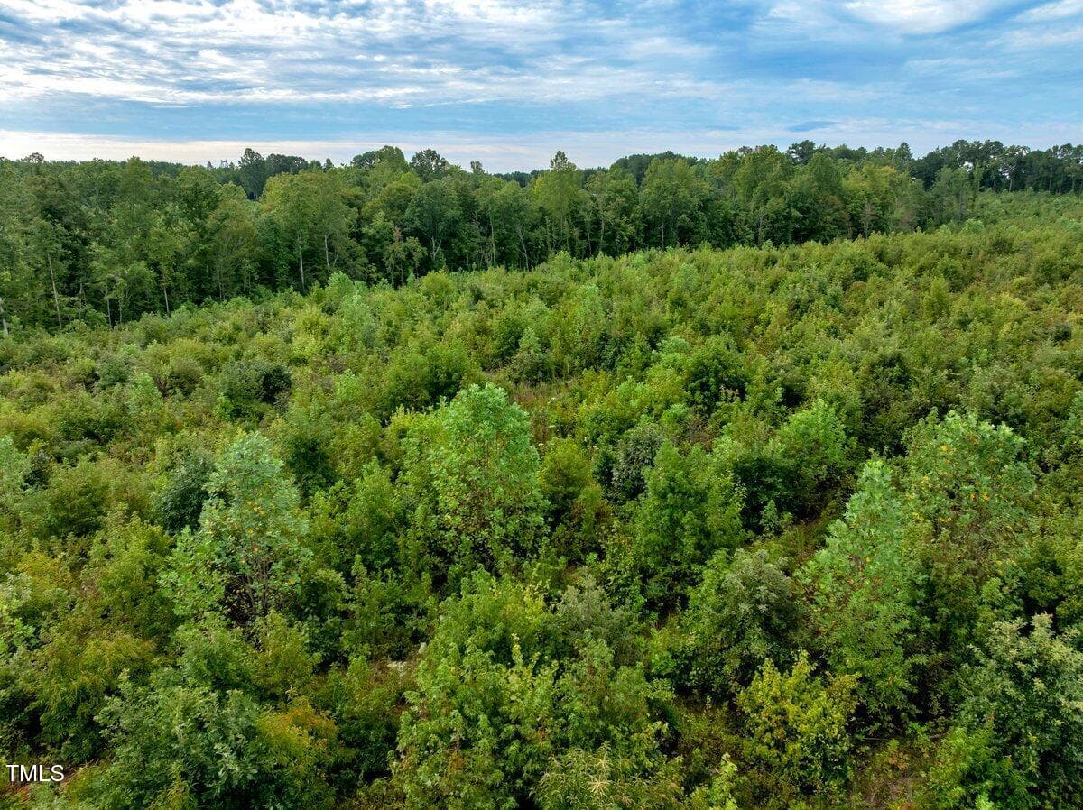 drone inside side view - 7 & 7a Richardson Road, Warrenton, NC 27589