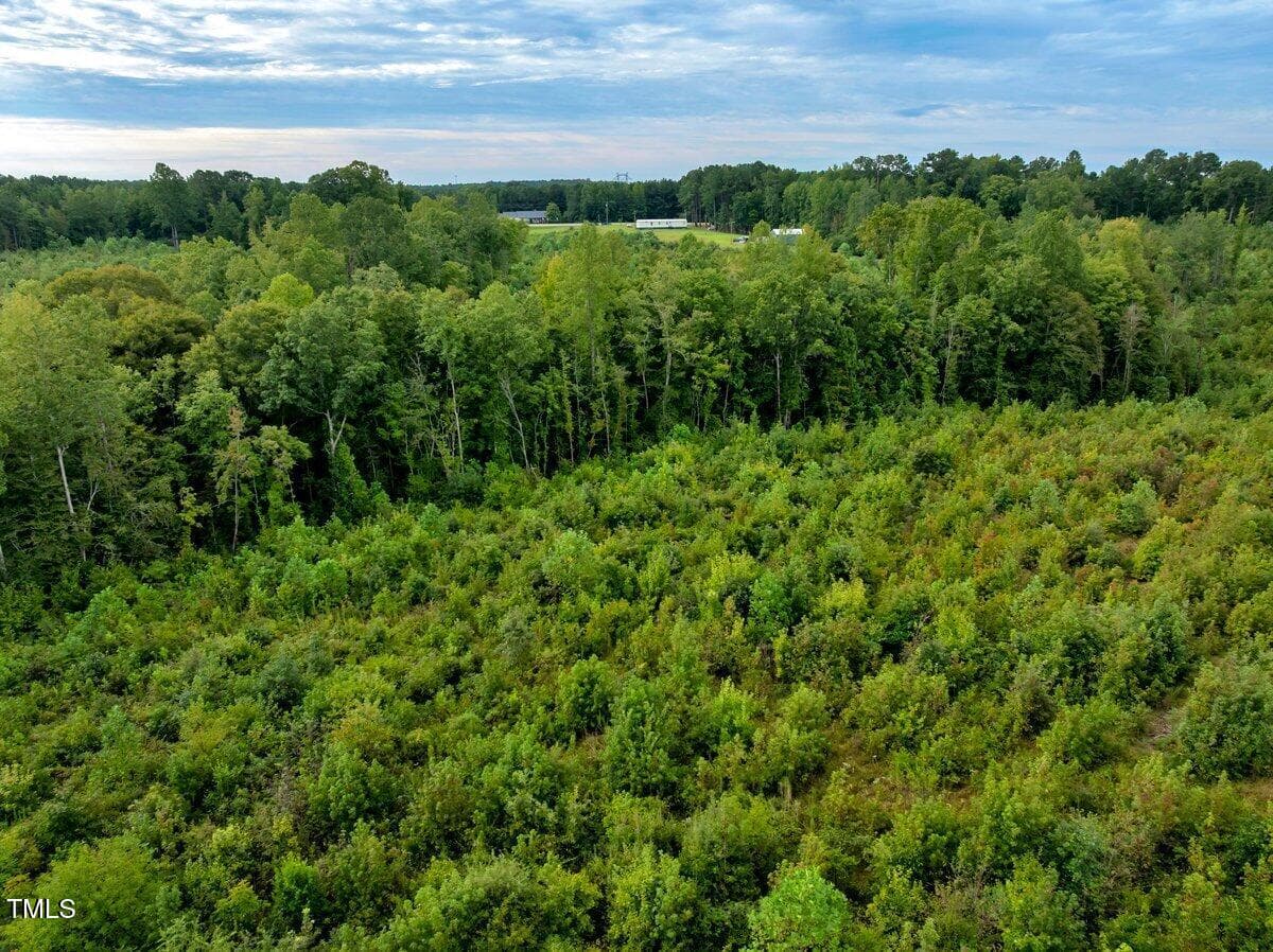 drone inside of property view - 7 & 7a Richardson Road, Warrenton, NC 27589