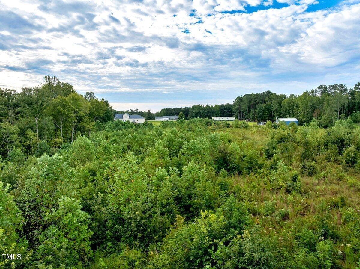 drone tree line view inside - 7 & 7a Richardson Road, Warrenton, NC 27589