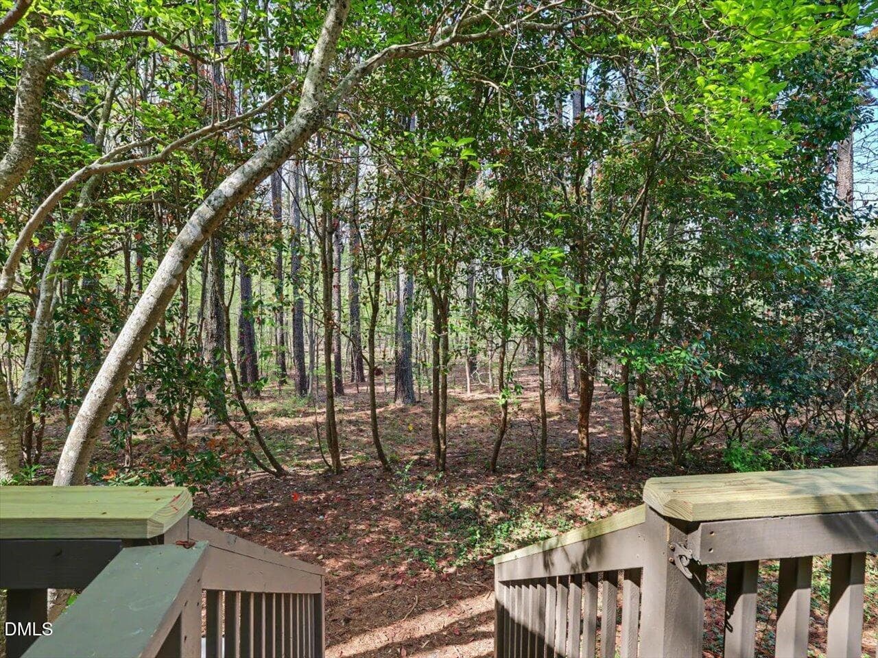 25-Deck View - 13 Vauxhall Place, Chapel Hill, NC 27517, Chapel Hill
