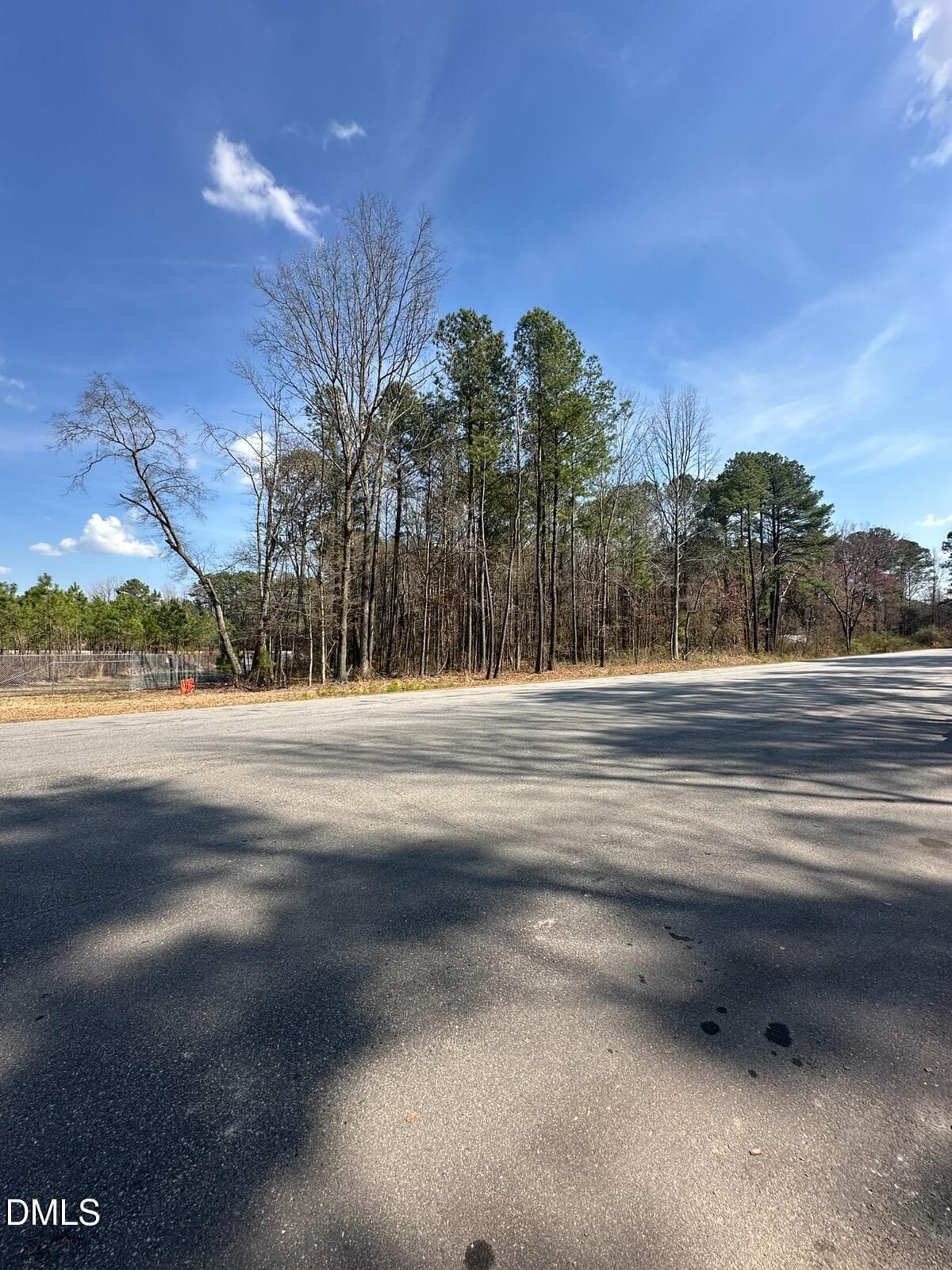 F8F29444-001 - 0 Grace Drive, Weldon, NC 27890
