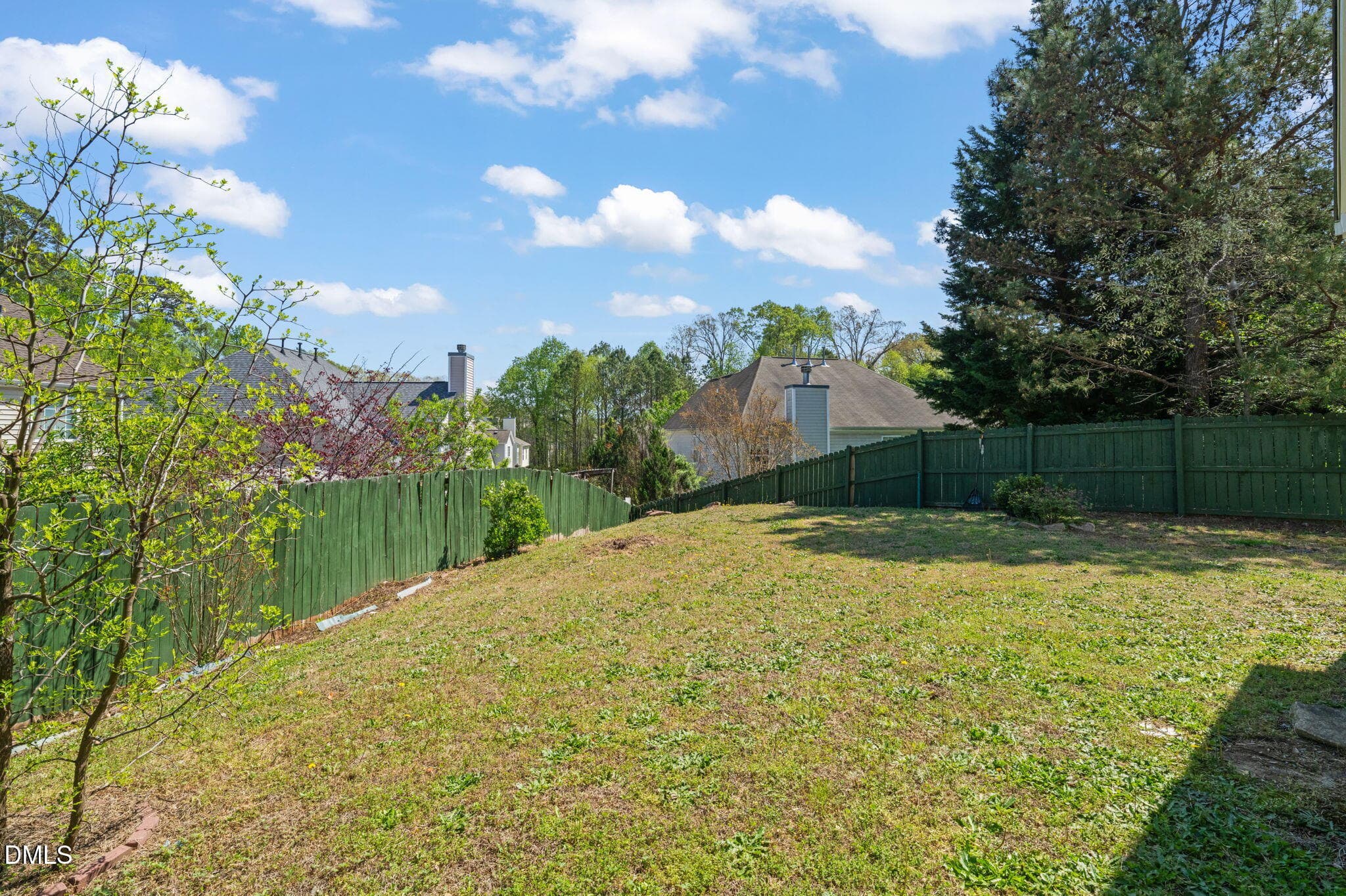 44-web-or-mls-untitled-50 - 3207 Geary Trail, Raleigh, NC 27610, Raleigh