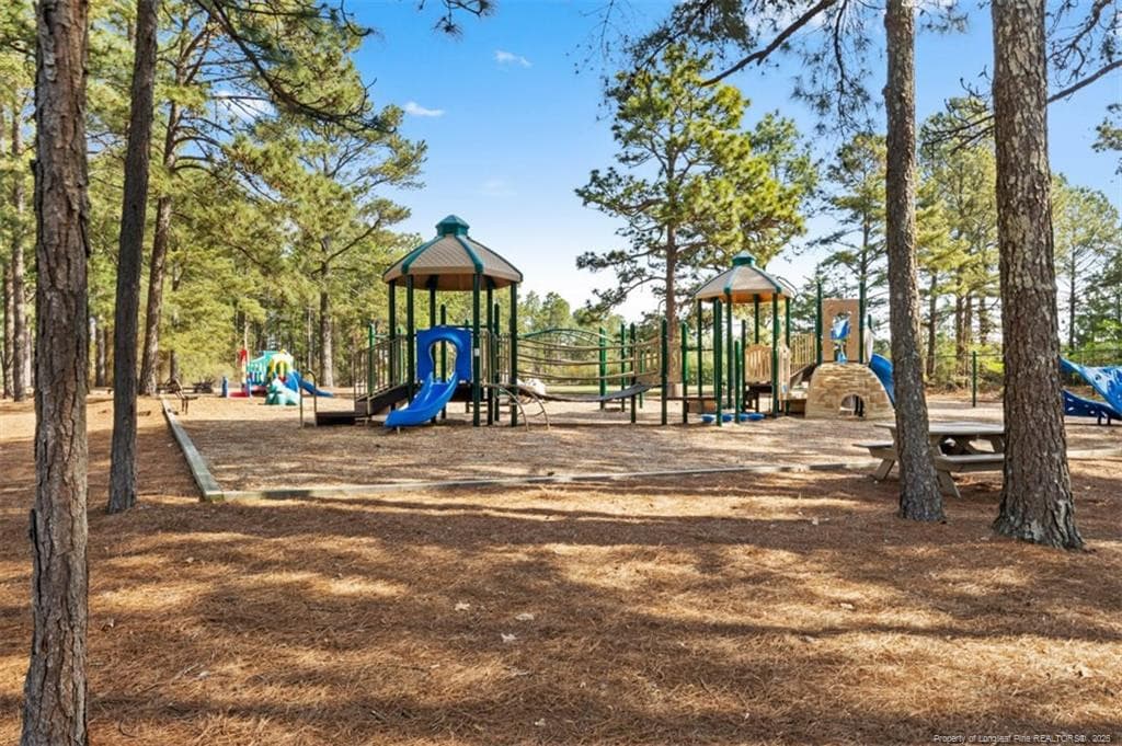 Community Playground - 118 Otter Drive, West End, NC 27326, West End