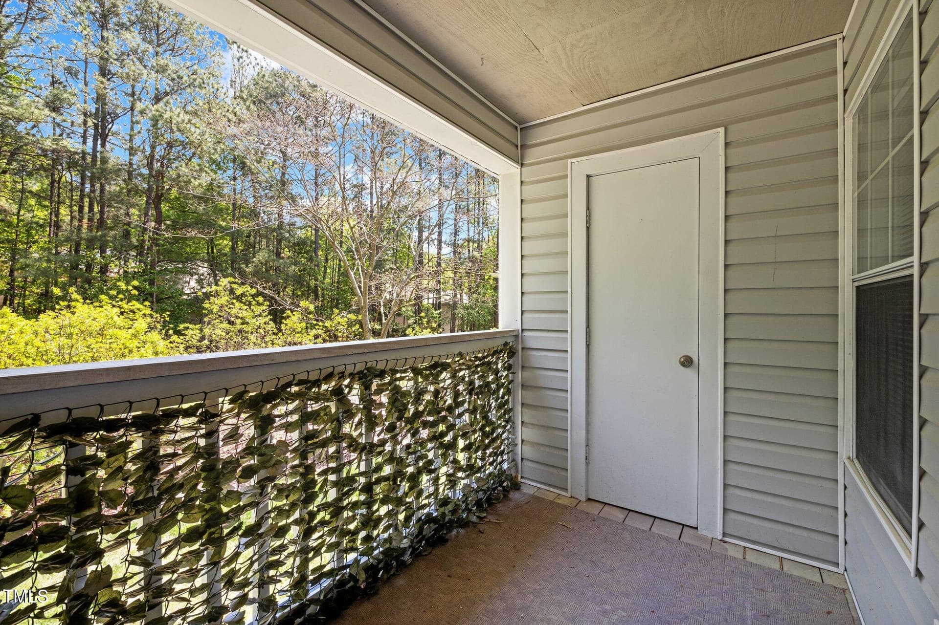 26-web-or-mls-P1036355 - 128 Schultz Street, Chapel Hill, NC 27514