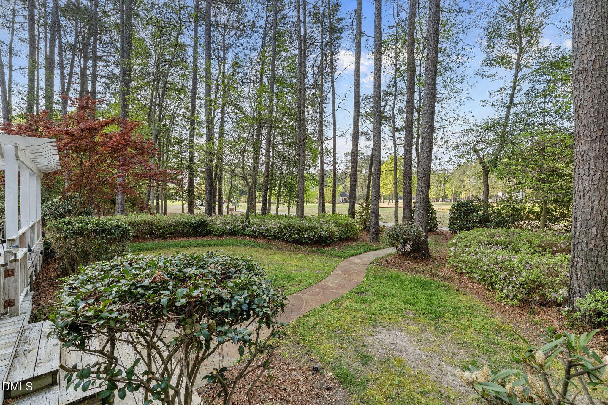 Back yard - 5007 Country Club Drive N, Wilson, NC 27896