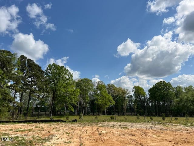 41KR17 - 786 Olive Branch Drive, Smithfield, NC 27577