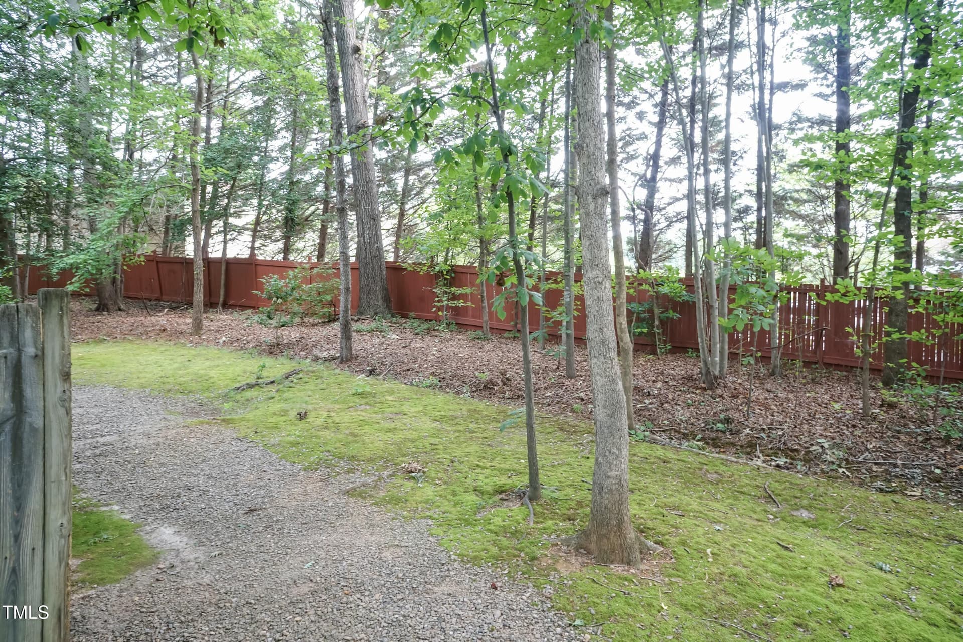 Back Yard area - 1107 Collington Drive, Cary, NC 27511