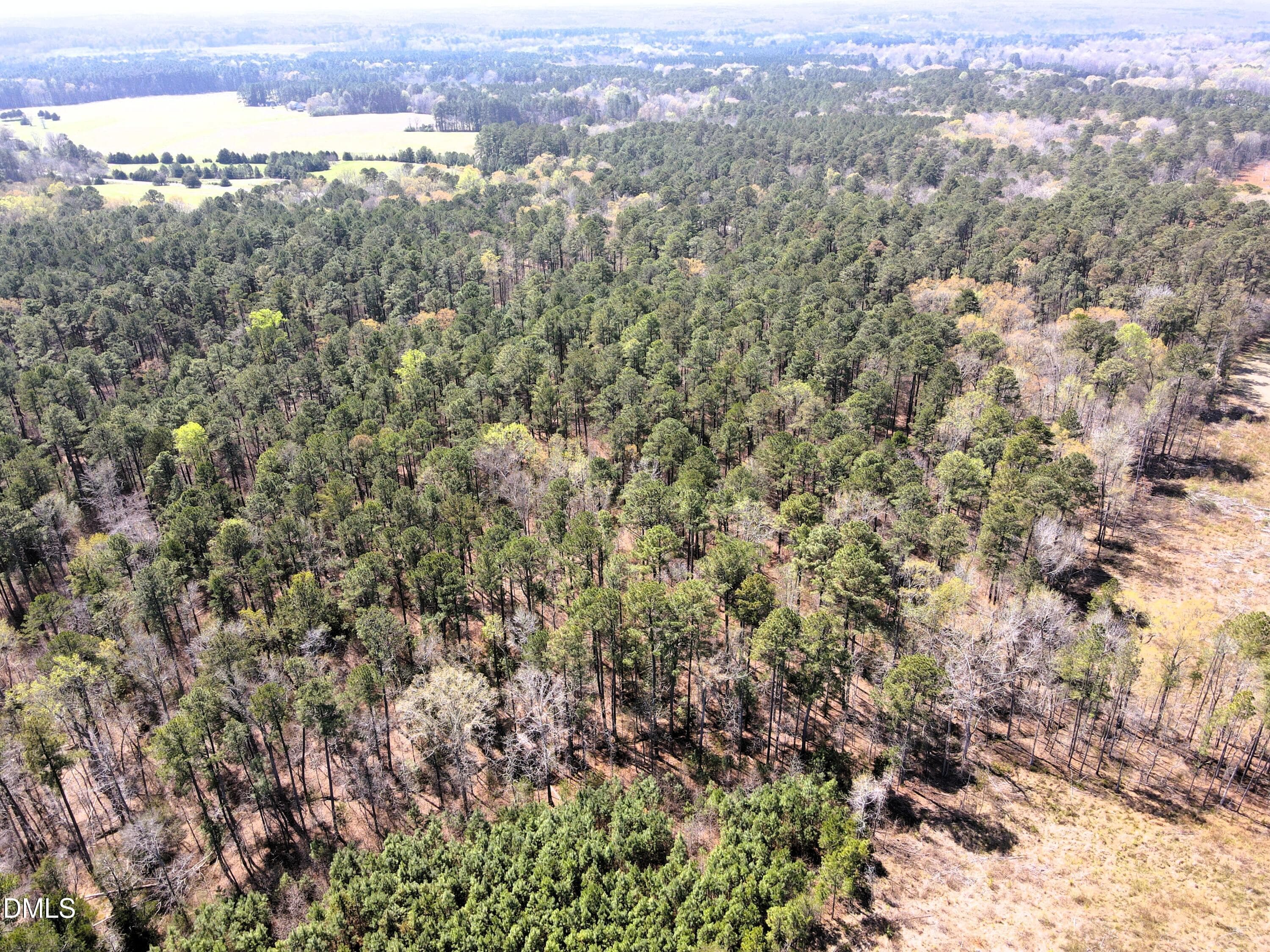 DJI_0645 - 01 Collins Mountain Road, Chapel Hill, NC 27516, Chapel Hill
