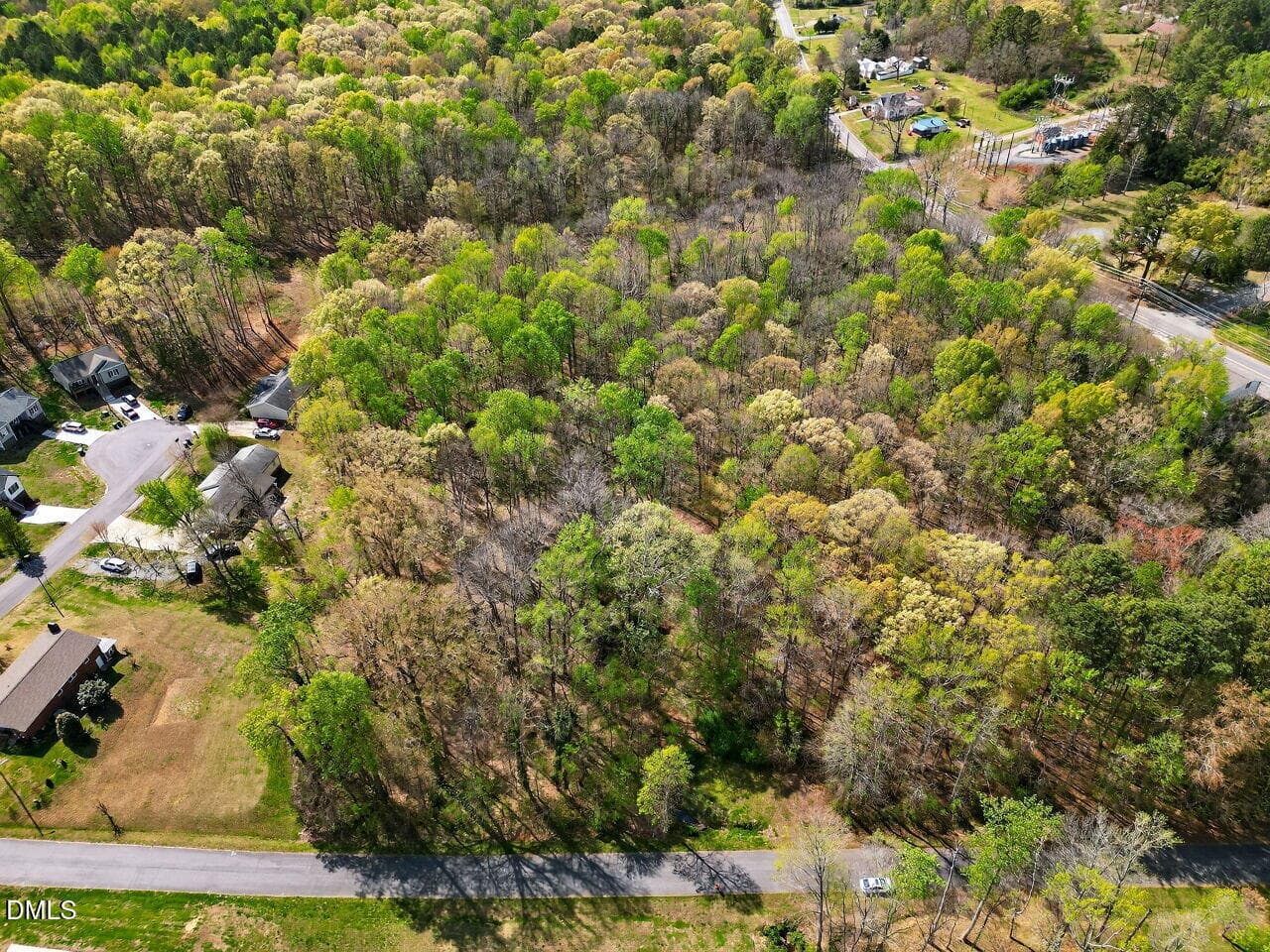 keep some shade trees - 109 Colchester Avenue, Siler City, NC 27344