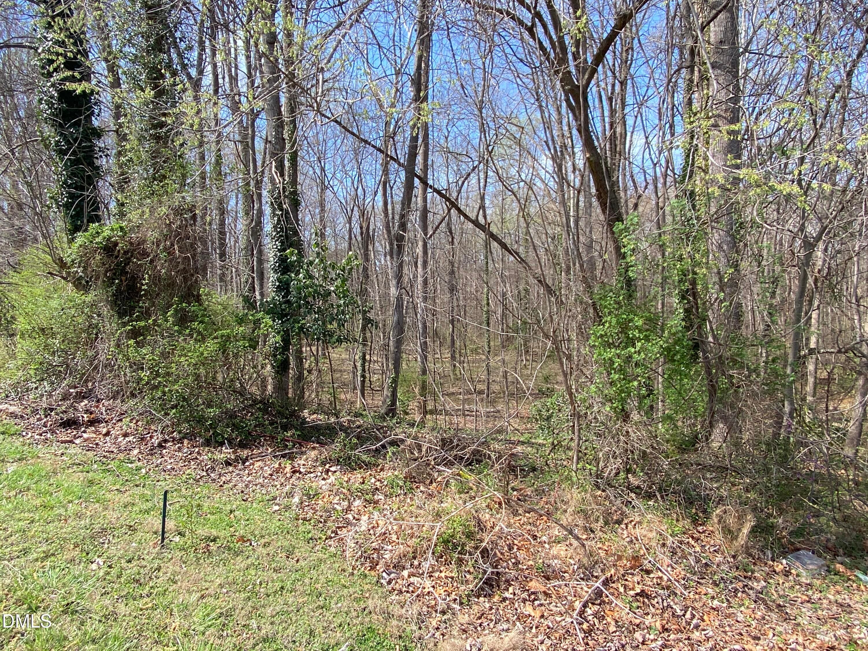 gently slopes down - 109 Colchester Avenue, Siler City, NC 27344