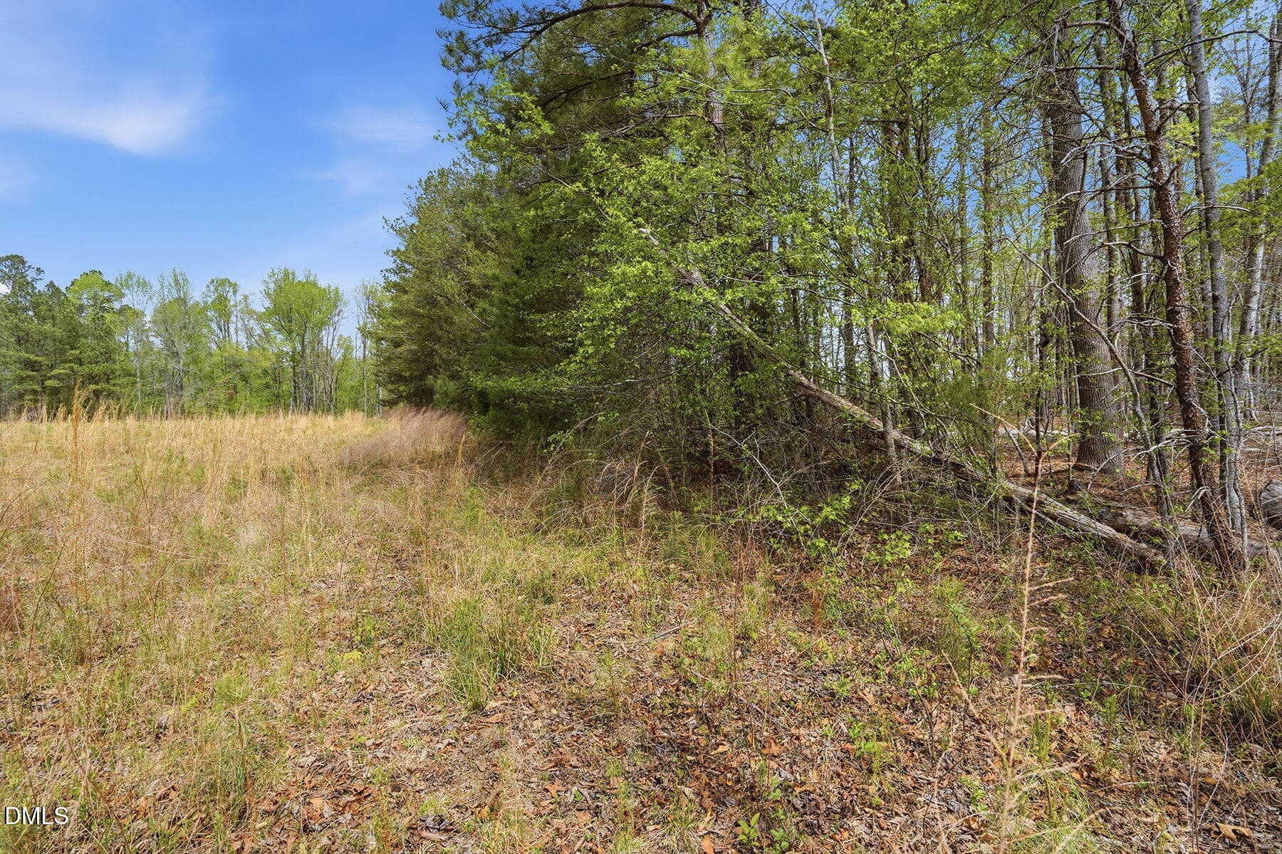 11-web-or-mls-6134 Bob Daniel rd-54 - 6134 Bob Daniel Road, Oxford, NC 27565